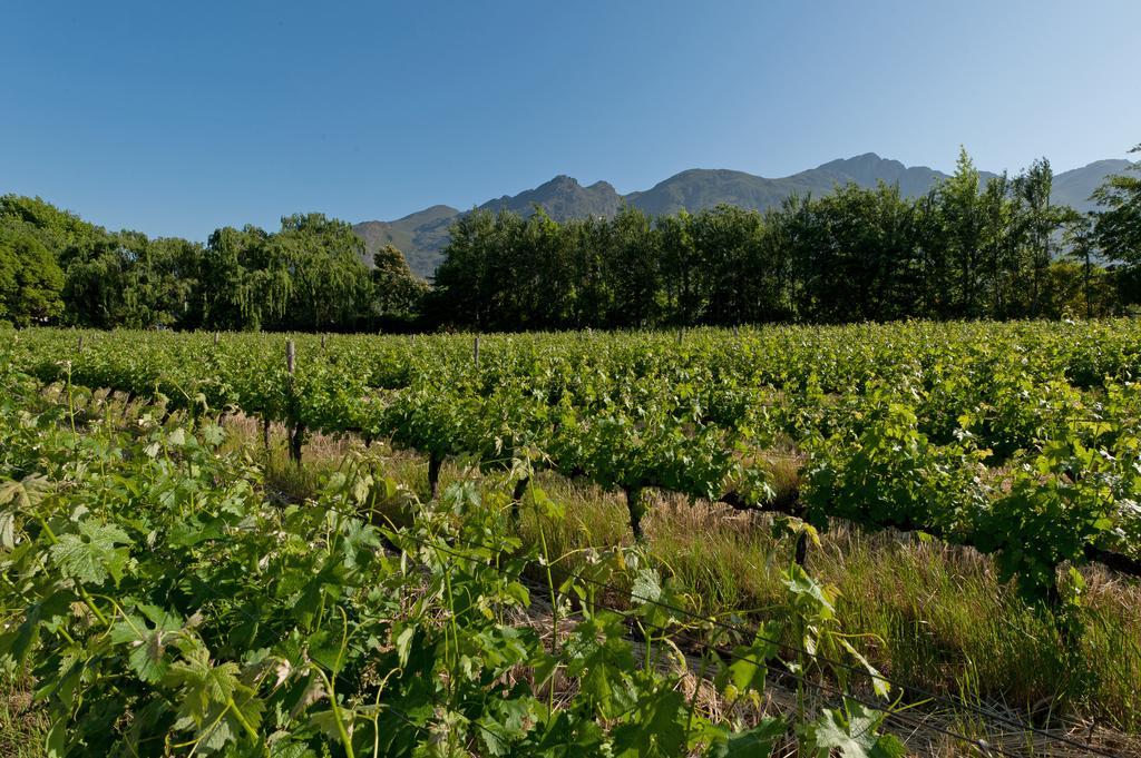 La Galiniere Guest Cottages Franschhoek Exteriér fotografie